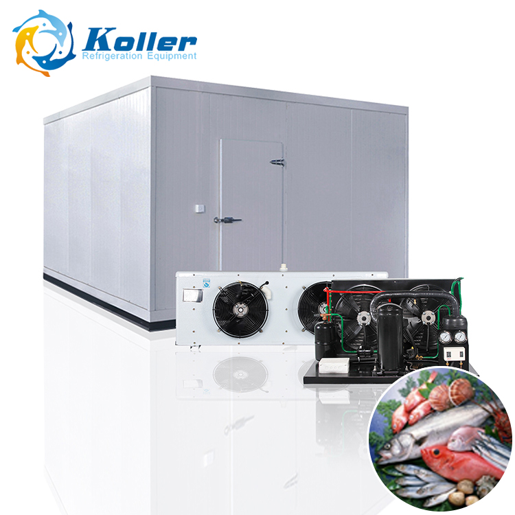 Koller 40cbm 12 тонн изолированные двери холодная комната с энергосберегающим для хранения рыбы
