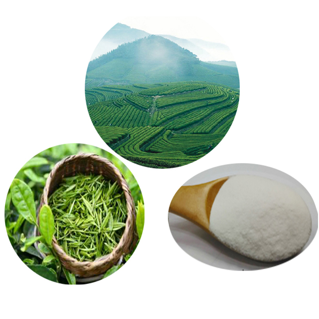 100% natural Epigallocatechin Gallate /EGCG Cosmetics Grade