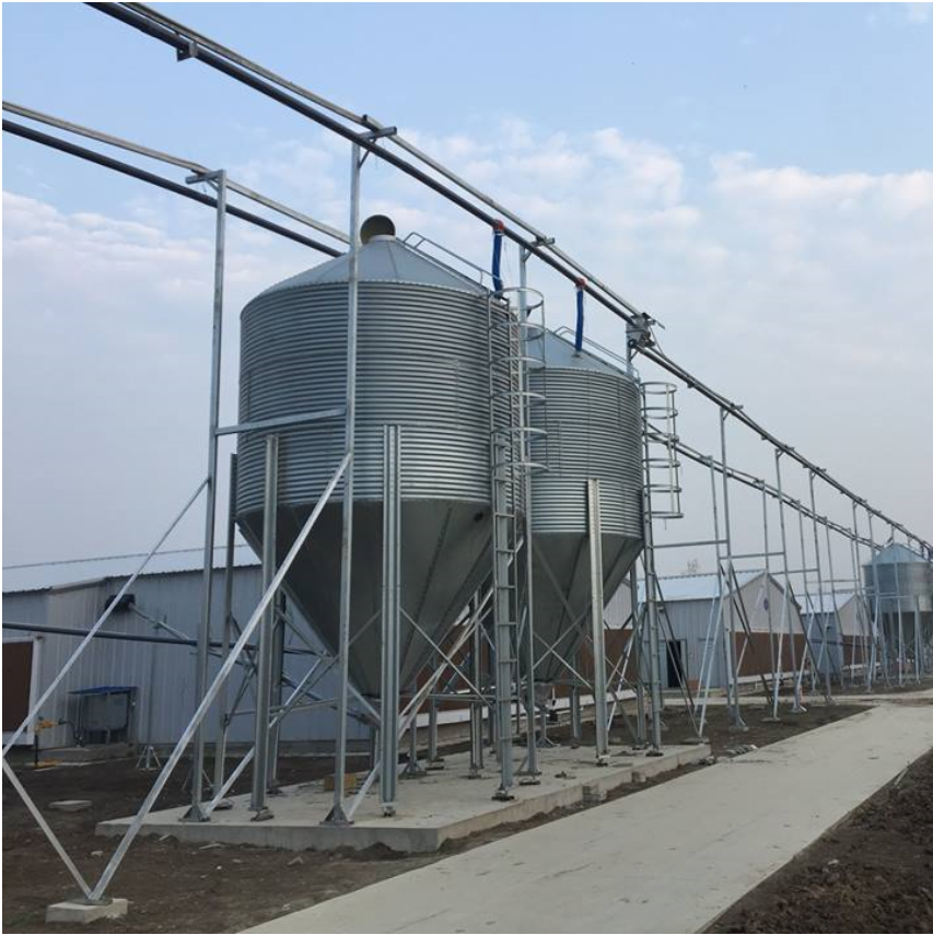 Poultry livestock small feed silo 5 ton steel silo