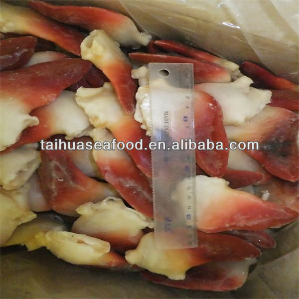 Замороженные арктические моллюски для серфинга
