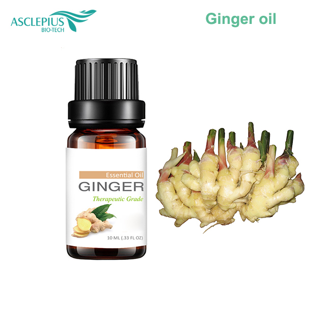 Most Popular Food Seasoning Condiments And Spa,Body,Massage Essential Oil 100% Natural Pure Ginger Oil With Good Price