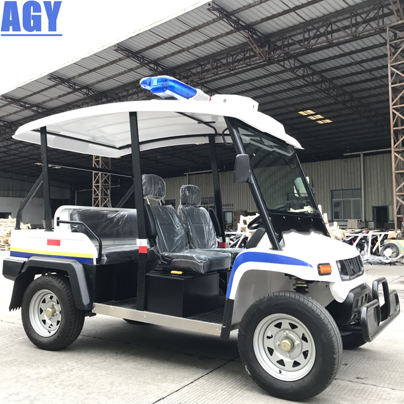 AGY 5kw utv Электрический взрослый