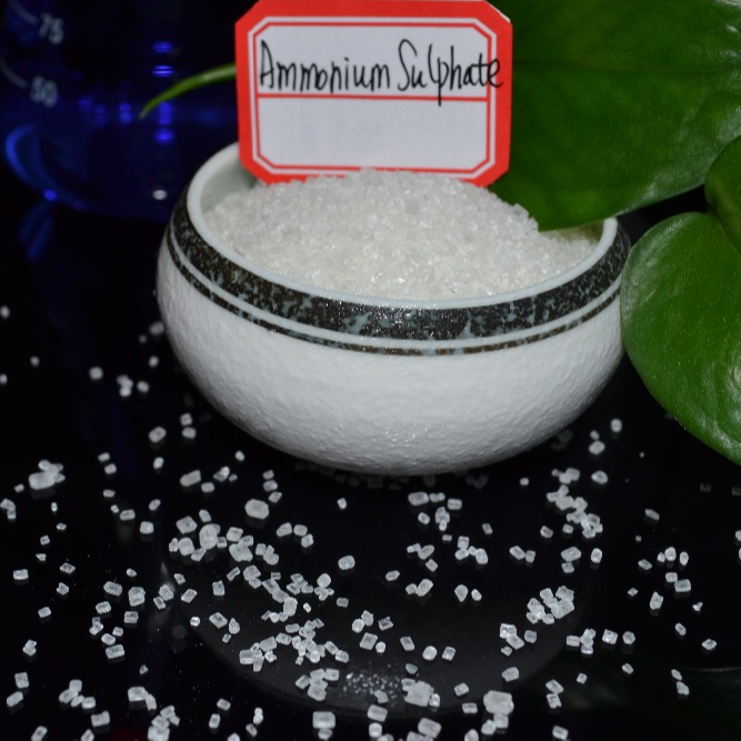Сульфат аммония в удобрениях (NH4)2SO4