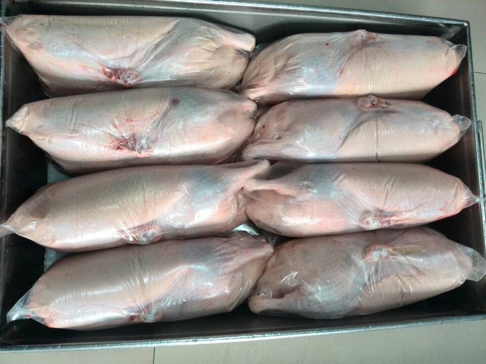 HALAL Замороженная утка хорошее качество