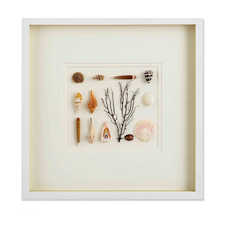 Shells Sea Creature Shadow Box стекло домашнего искусства производитель