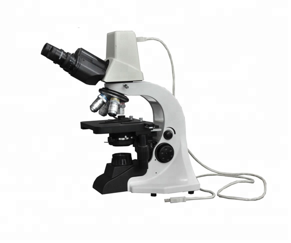 BS-2020BD BestScope цифровой Биологический микроскоп с конкурентоспособной ценой