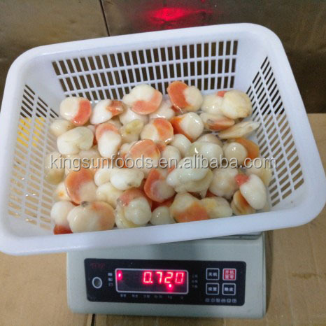 6-8cm Half Shell FARRERI SCALLOP with Roe
