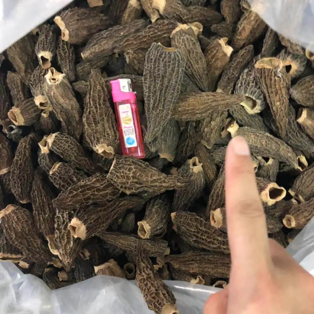 Cheap Price of Dried Black Morels Mushrooms for Sale with High Quality