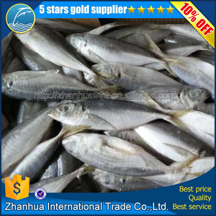 Замороженные круглый scad trachurus japonicus 5 - 7 шт./кг