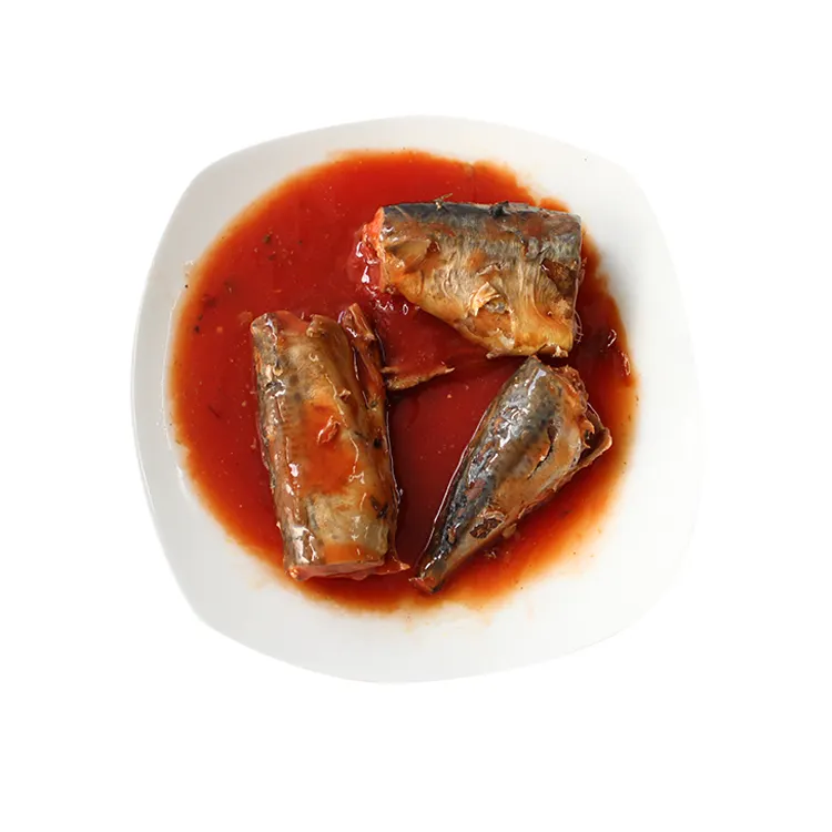 Good canned Sardine in oil