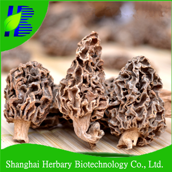 2020 оптовая цена Редкие съедобные Сушеные Morchella Esculenta/гриб сморчок