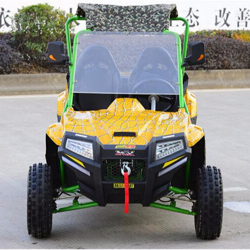 200cc 2x4 UTV 1000 Вт 4x4 Электрический утилитарный мотовездеход ферма босс UTV с цепным приводом