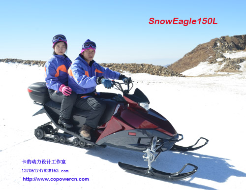 Copower 320cc снегоход, снег бегун( сразу фабрика)