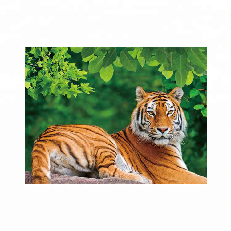 Творческая wall art 3d линзовидные изображения тигра