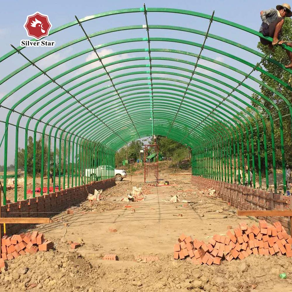 Steel chicken cage green house for poultry farm