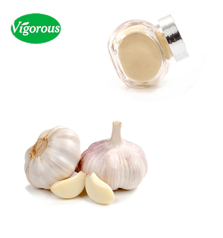 Best Price China Manufacturer 100% Pure Garlic Extract Powder