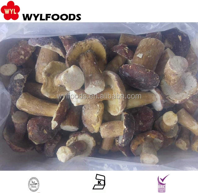 Wild mushrom Цена iqf замороженные boletus edulis