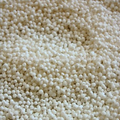 Семена Sago белого цвета для продажи