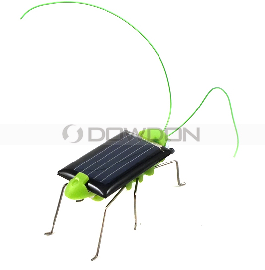 1V 70mAh Locust Grasshopper  Novel Educational Kid Toy