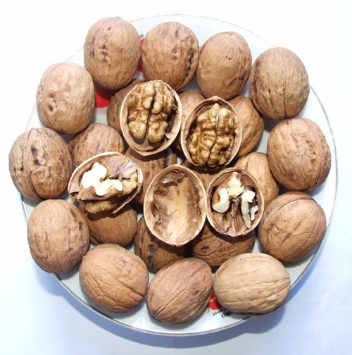 Cheap price Bitter Kola Nuts from Africa