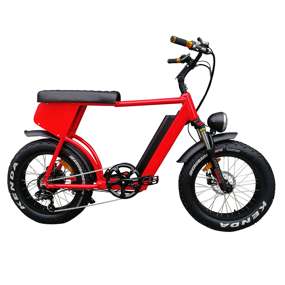 HP-E 73 harley стиль 13Ah 48v 500w 750w Супер приведенный в действие двигатель генератор 40 км/ч, широкая шина для двух 2 местный Электрический велосипед