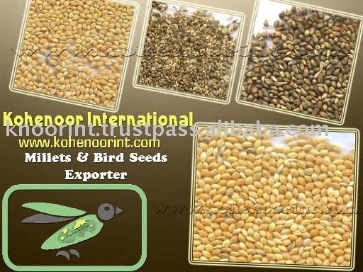 [SuperDeal] желтая проса, зеленая проса, красная проса, белые проветриватели, все виды проветривателей-Kohenoor International