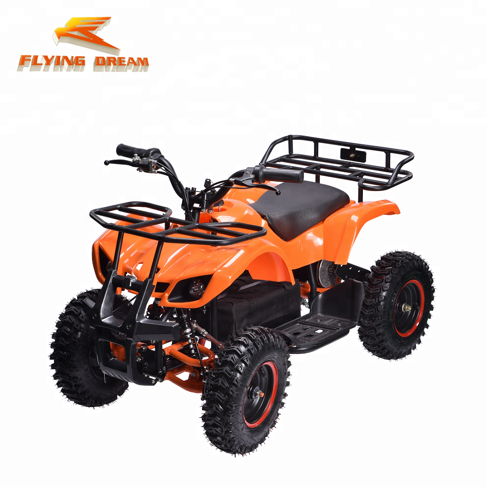 Дети/Дети 4 колеса электрический мини ATV 800 Вт 36 В в электрический ATV