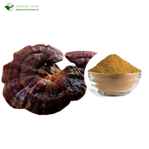 Фабрика питания коричневый порошок форма USDA органический reishi порошок