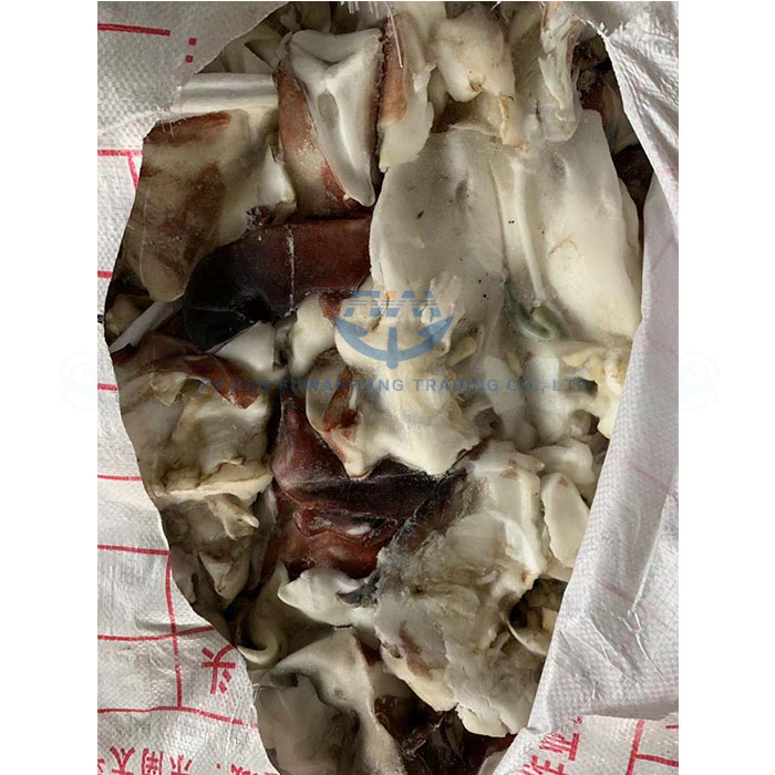 Giant squid neck whole round frozen