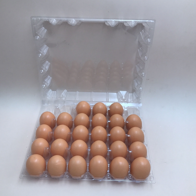 СЯМЭНЬ XIEFA 4X6 = 24 ШТ. ОДНОРАЗОВЫЕ heg ЯЙЦО ЛОТОК