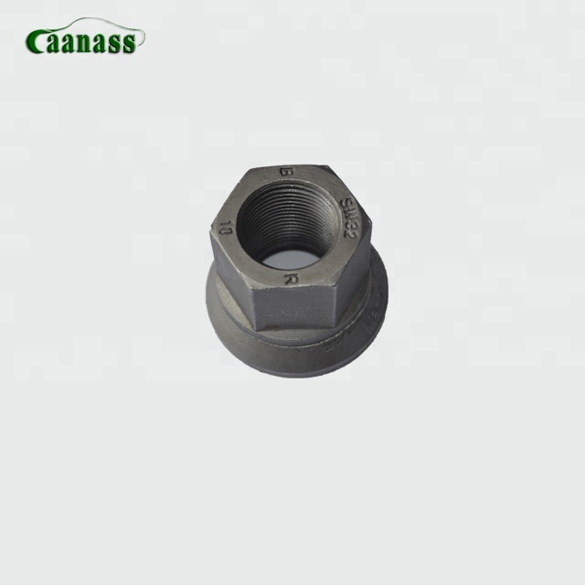 5010457733 использование для Renault Magnum, колесная гайка для грузовика