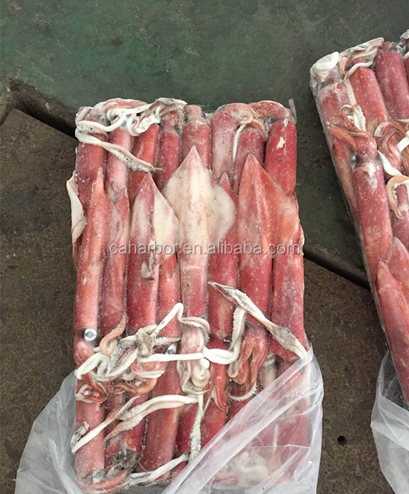 Замороженный черный кальмар для замороженного моря