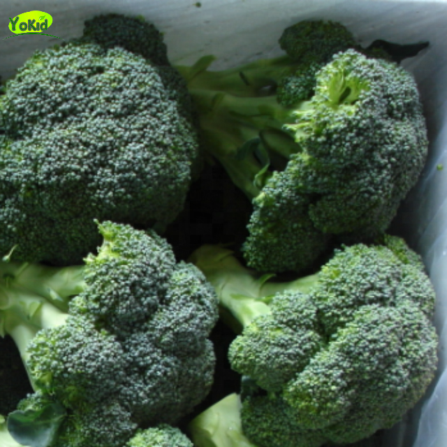 Competitive Price Frozen Broccoli Cut Manufacture