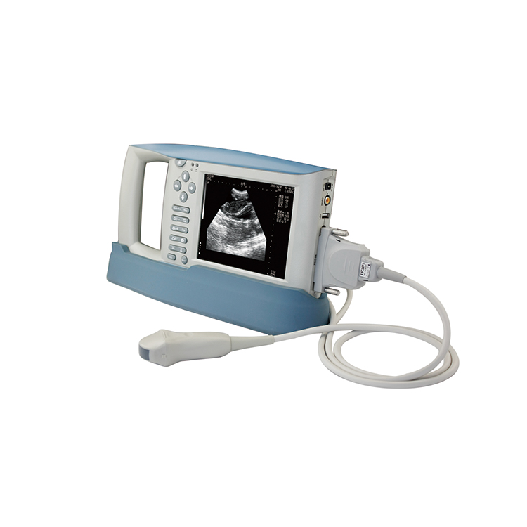 Дешевые KX-5100 полное цифровое механическое оборудование УЗИ говядины сектора