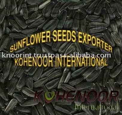 Sunflower Seeds