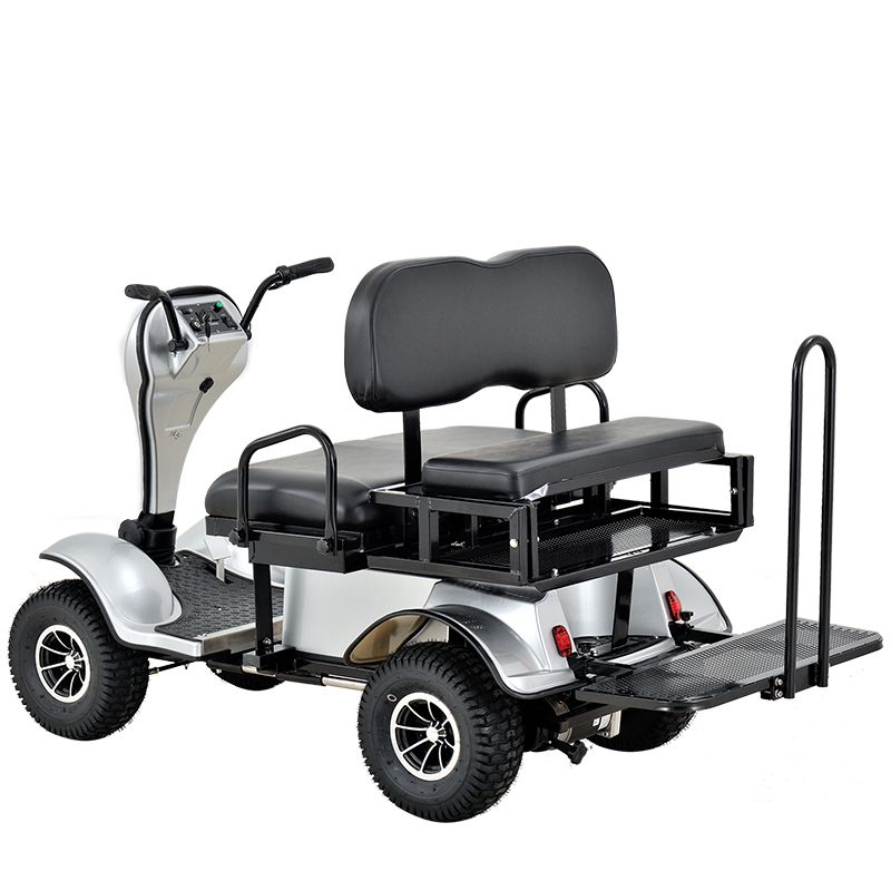 2 места инвалидов Scooter инвалидов скутер электрический самокат
