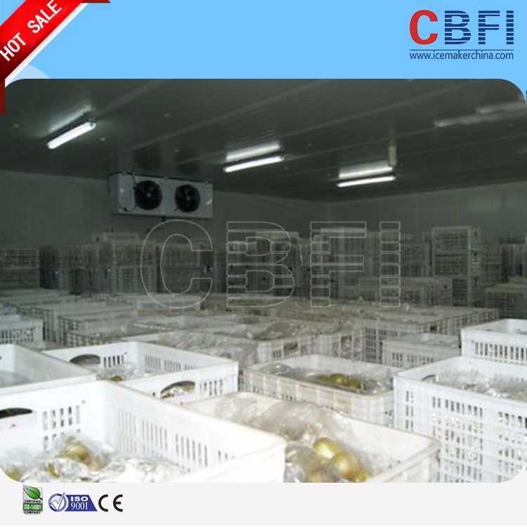 CBFI рыбообработки холодное помещение для хранения креветки курица (криокамера)