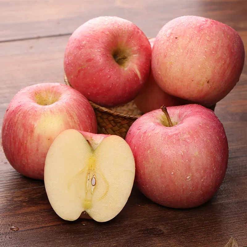 Import fresh fuji apple fruit