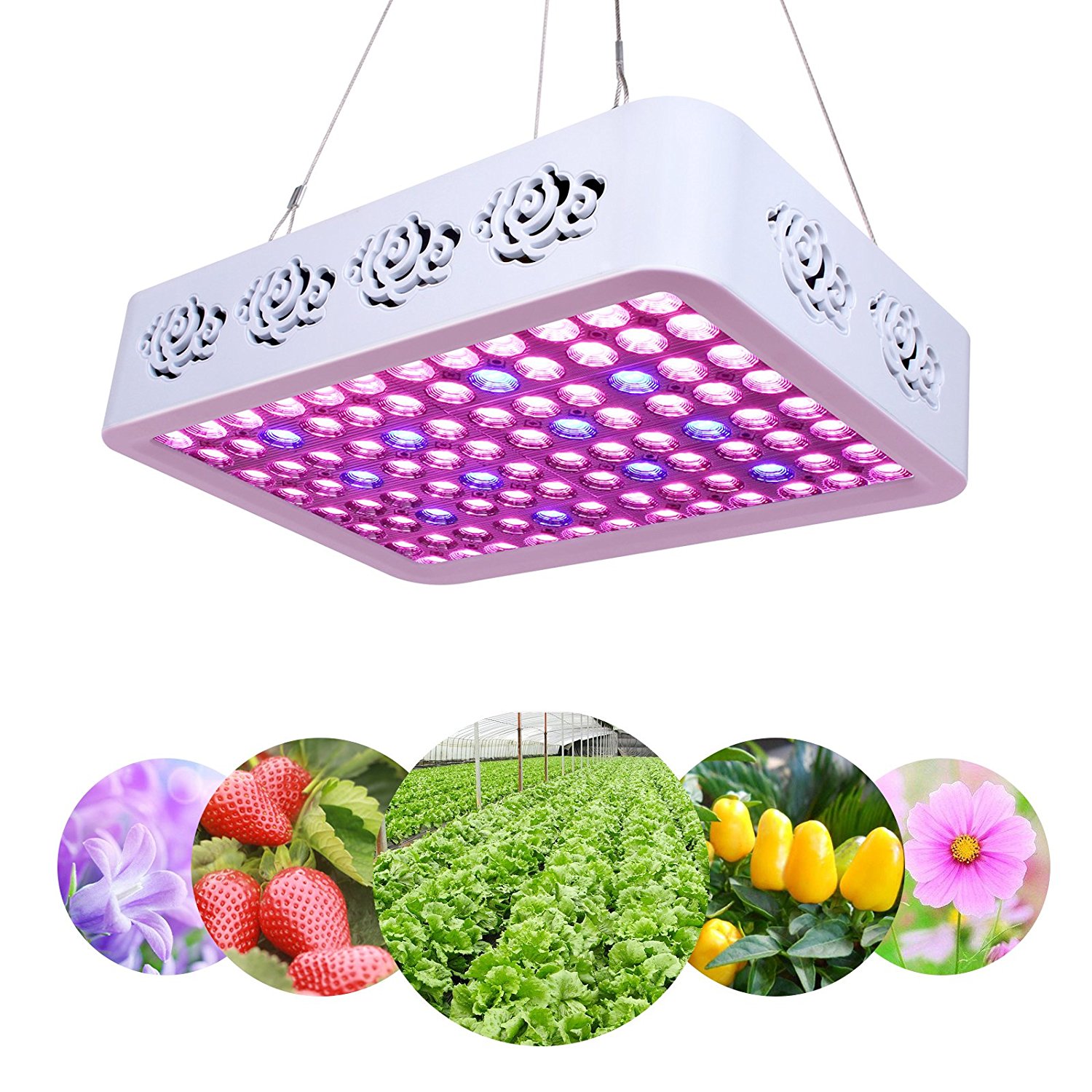 New Design Full Spectrum 300W LED Grow Lamp for greenhouse plant