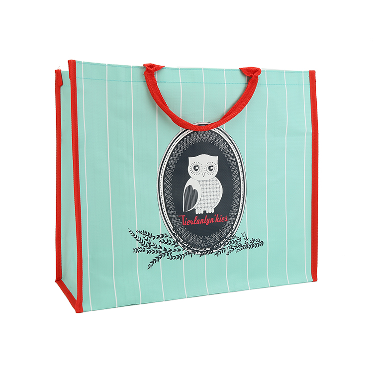 Recyclable reusable plastic shopping trolley bag