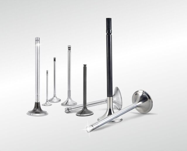 Запас OELGH10020 LGH101060 впускной клапан LGH10049 LGH101000 LGH101140 выпускной клапан для Eng T16