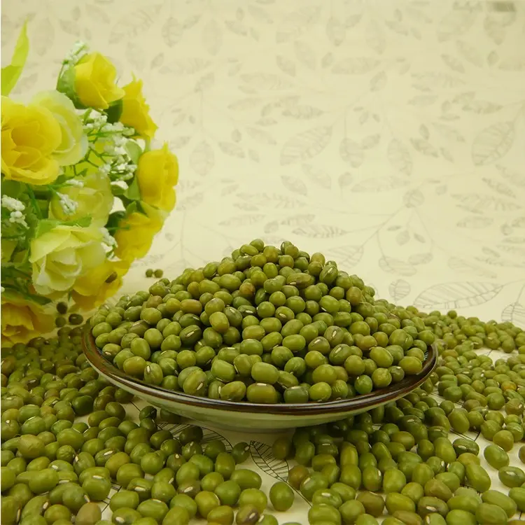 High Sprouting Rate SMALL Green mung beans For Sale