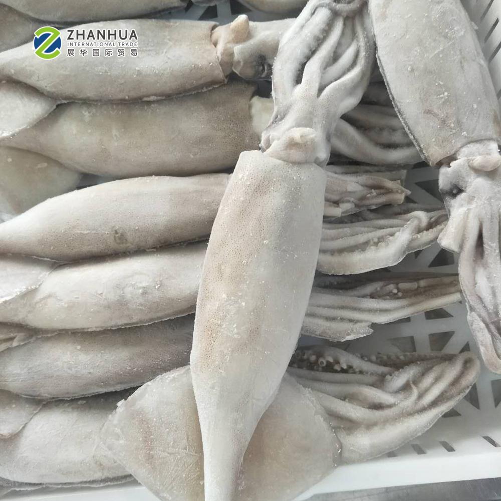 Замороженный кальмар оптом IQF, замороженный кальмар