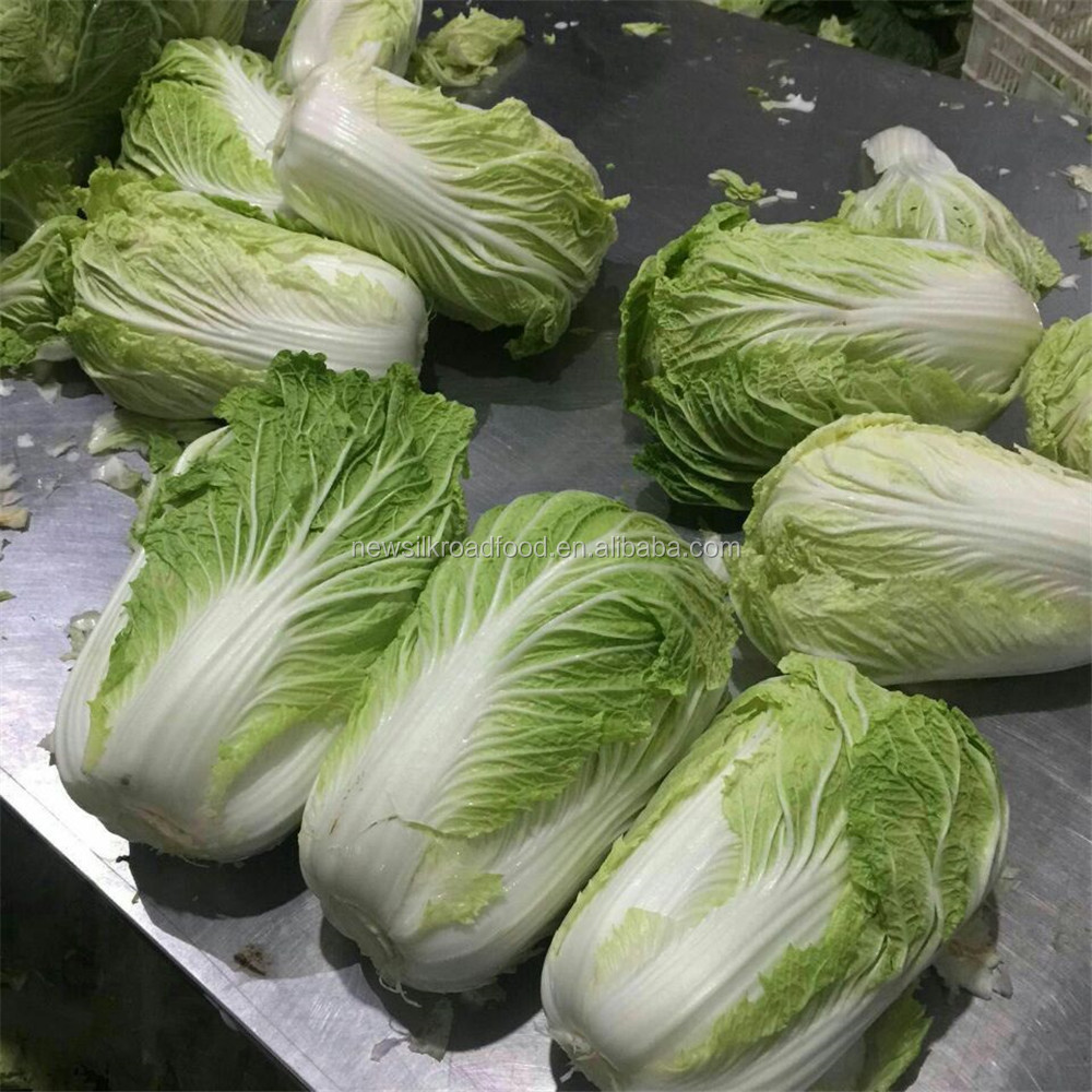 Длинная белая китайская капуста
