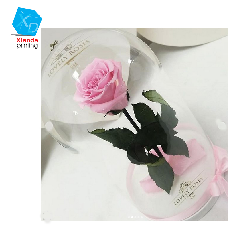 Top quality mini glass dome with base for flowers