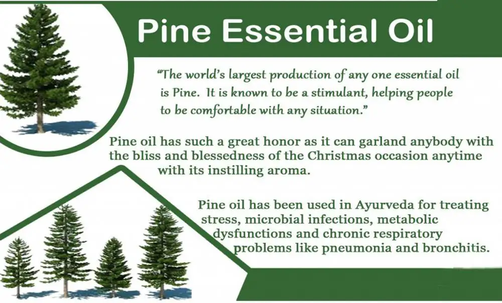 Pure Pine Essential Oil Pine Oil CAS 2228-95-7