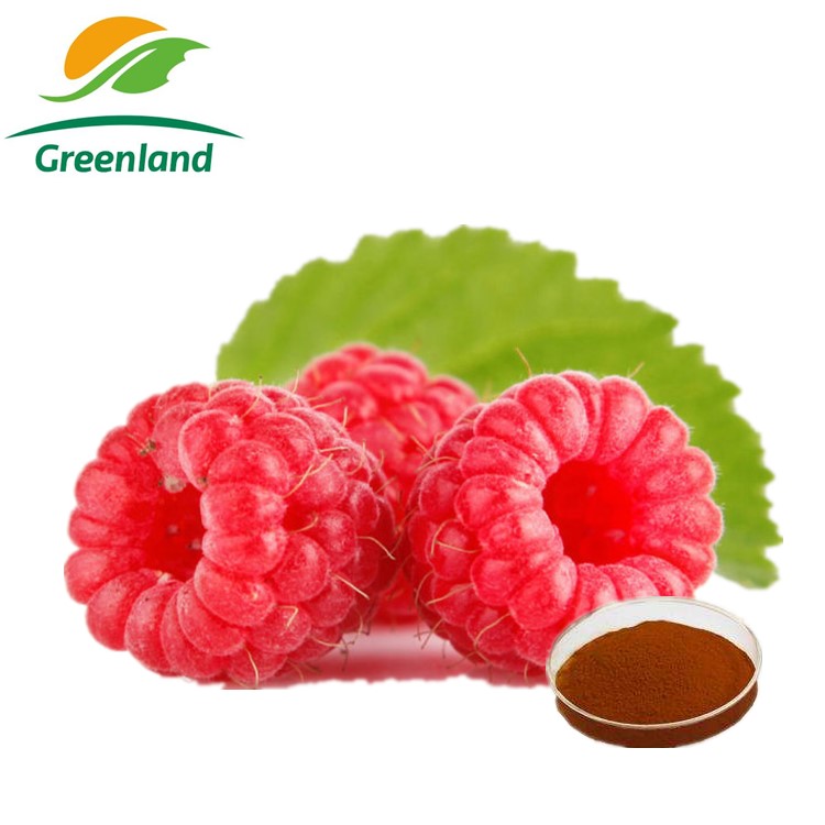 Натуральный Frambuesa Rubus красный Raspberry экстракт плодов для напитка или еды