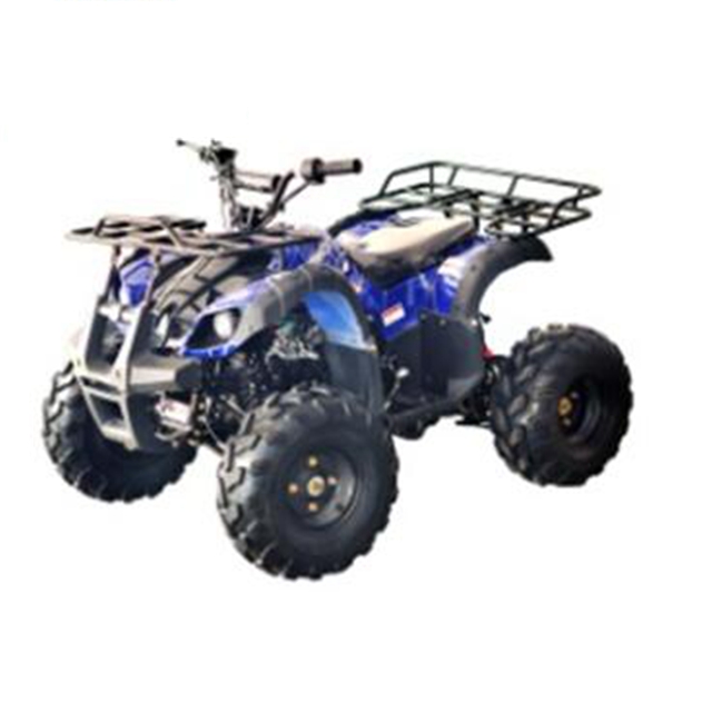 Горячая продажа 125cc двигатель ATV