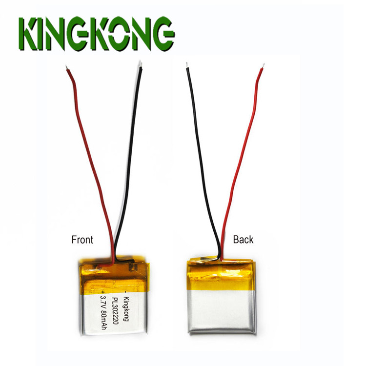 Lithium Polymer Battery Digital Camera Battery Home Appliances Consumer Electronics with Deep Cycle