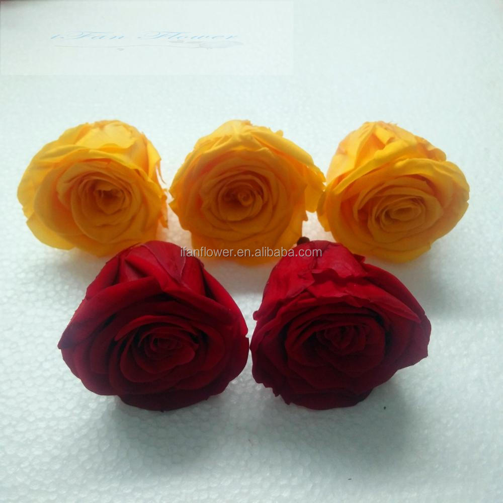 Made in china competitive pretty natural rose preserved flower